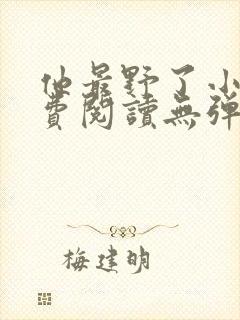 他最野了小说免费阅读无弹窗