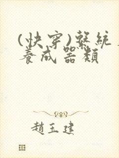 书籍封面
