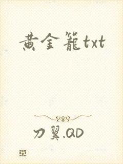 黄金笼txt