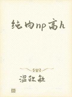 纯肉np高h