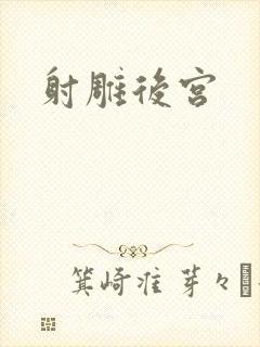 射雕后宫