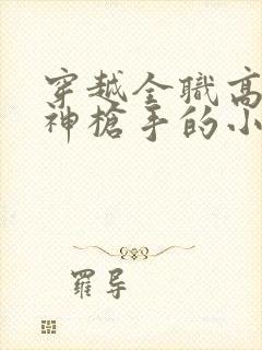 穿越全职高手玩神枪手的小说