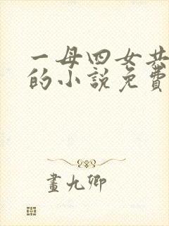 一母四女共一婿的小说免费阅读小冉