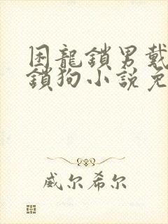 困龙锁男戴锁的锁狗小说免费阅读