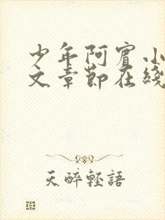 少年阿宾小说全文章节在线观看免费