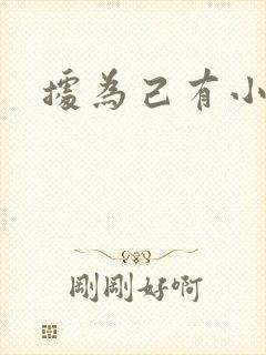 据为己有小说封面