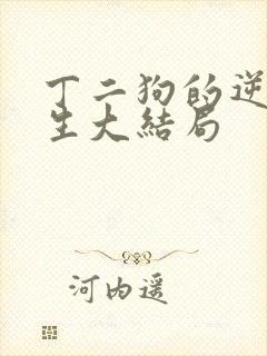 丁二狗的逆袭人生大结局