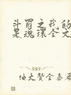 斗罗之我的武魂是魂环全文