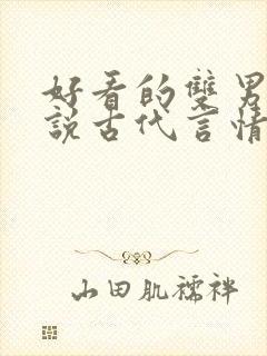 好看的双男主小说古代言情封面