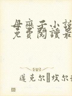 母恋子小说全文免费阅读最新章节