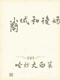 小城和后妈笔趣阁