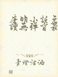 唐明小说免费阅读无弹窗最新章节下载
