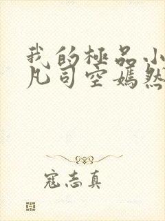 我的极品小姨叶凡司空嫣然