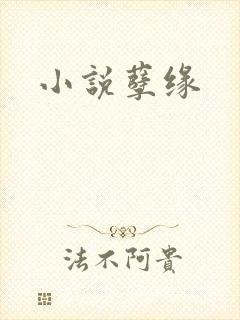 小说孽缘