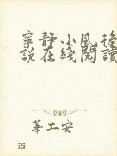 宁静小风后妈小说在线阅读无弹窗封面