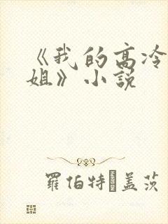 《我的高冷大小姐》小说