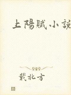上阳赋小说封面