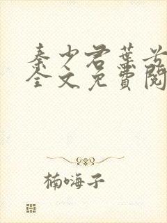 秦少君叶兮小说全文免费阅读封面