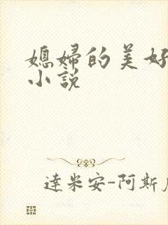 媳妇的美好时代小说