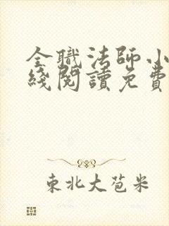 全职法师小说在线阅读免费看小说