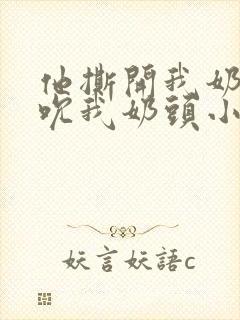 他撕开我奶罩揉吮我奶头小说