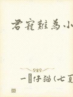 君宠难为小说