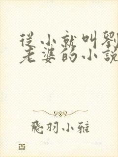从小就叫刘晓莉老婆的小说