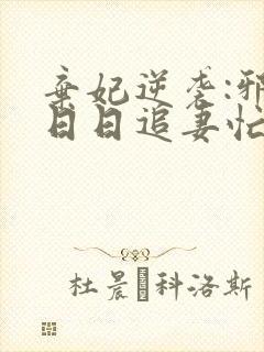 弃妃逆袭:邪王日日追妻忙电子版封面