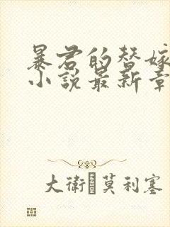 暴君的替嫁新娘小说最新章节更新内