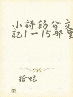 小诗的公交车日记1一15哪里能看