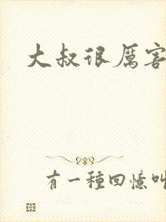 大叔很厉害