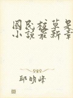 国民校草是女生小说最新章节