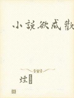 小说欲成欢