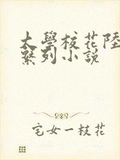 大学校花陆冰嫣系列小说