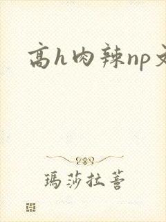 高h肉辣np文