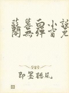 苏慕白小说笔趣阁无弹窗免费阅读