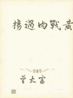 杨过肉战黄蓉