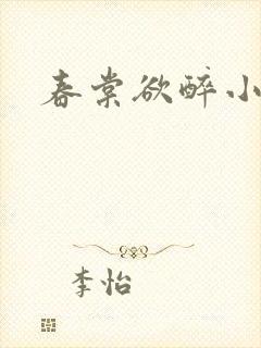 春棠欲醉小说封面