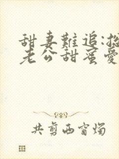 甜妻难追:总裁老公甜蜜爱