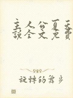 主人公夏天的小说全文免费阅读封面