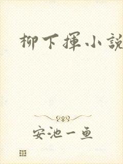 柳下挥小说封面