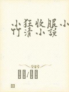 小狂收服小舞朱竹清小说