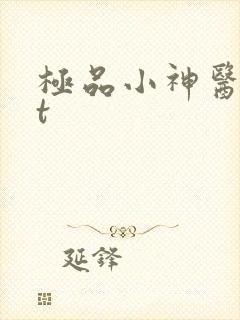 极品小神医txt