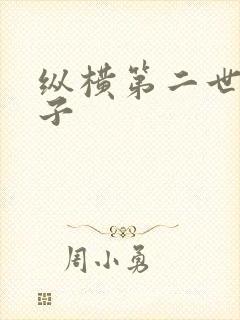 纵横第二世界宽子封面