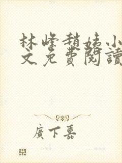 林峰赵姨小说全文免费阅读