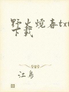 野火烧春txt下载封面