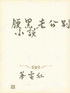 腹黑老公别太坏 小说