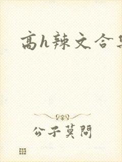 高h辣文合集