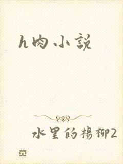 h肉小说