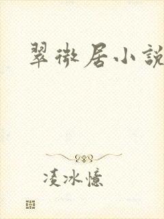 翠微居小说